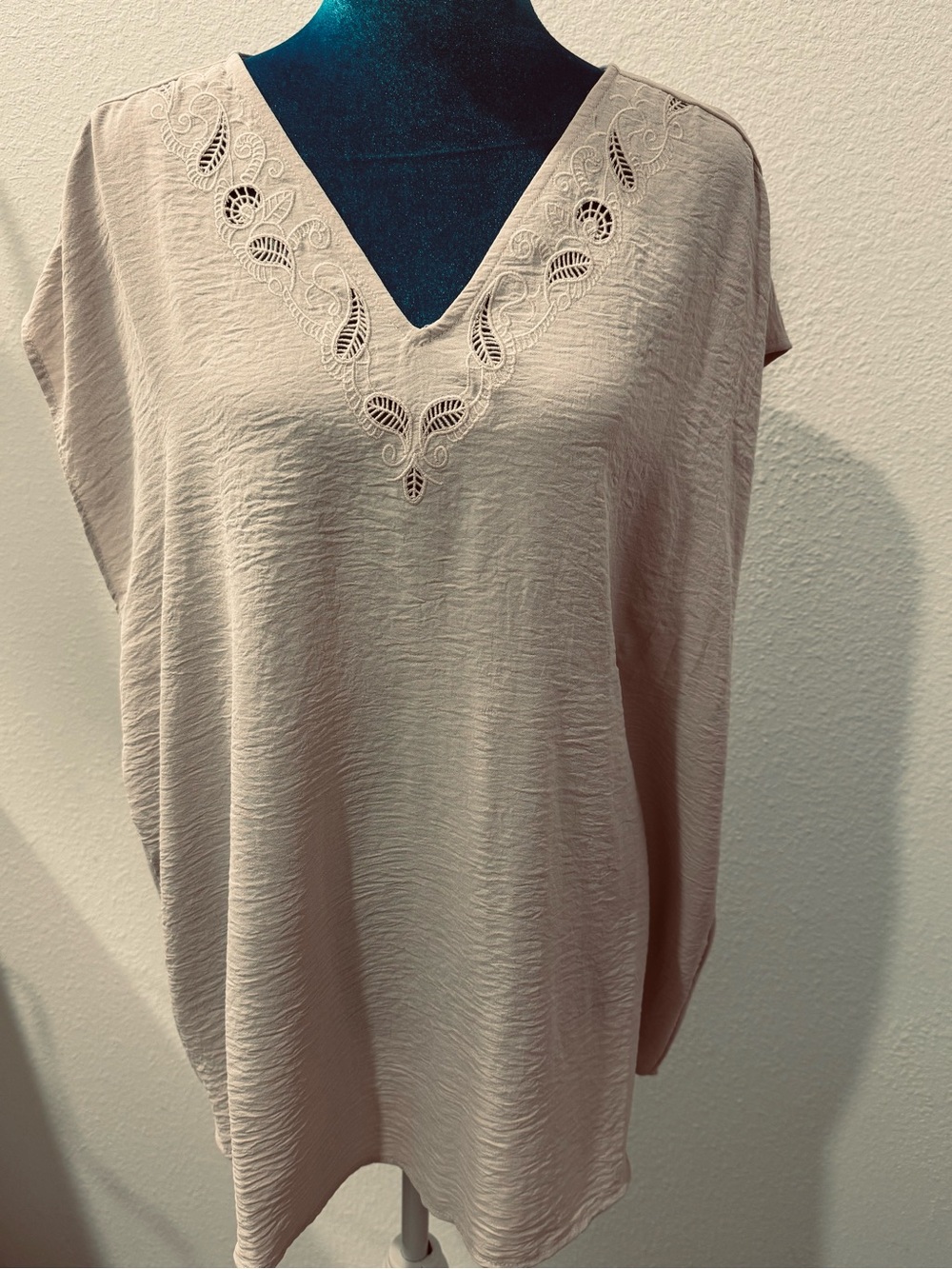NewADRIANNA PAPELl Beige Embroidered V-Neck Women's Top